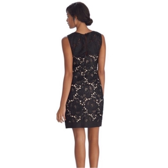 White House Black Market Womens Sheath Black floral Lace Overlay Dress Sz 2 - Picture 7 of 16